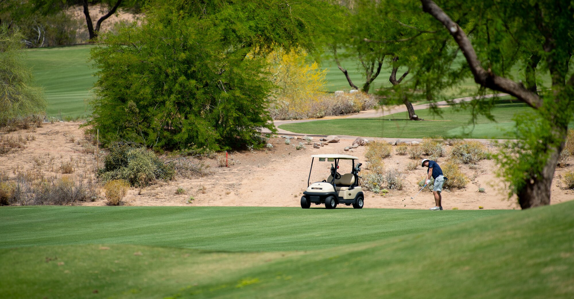 Armed Forces Golf Tourney > Luke Air Force Base > Article Display