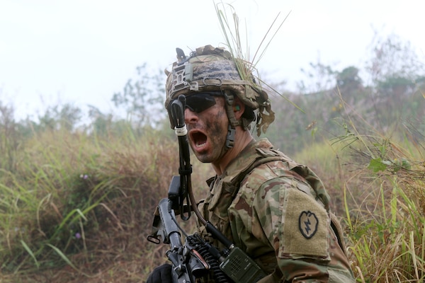 Indonesian armed forces soldiers and Borzoi Company, 1st Battalion, 27th Infantry Regiment, 25th Infantry Division (1-27 Wolfhounds), participate in
live fire exercise during Garuda Shield, in Cibenda, Indonesia, September 27, 2017 (U.S. Army National Guard/Matthew A. Foster)