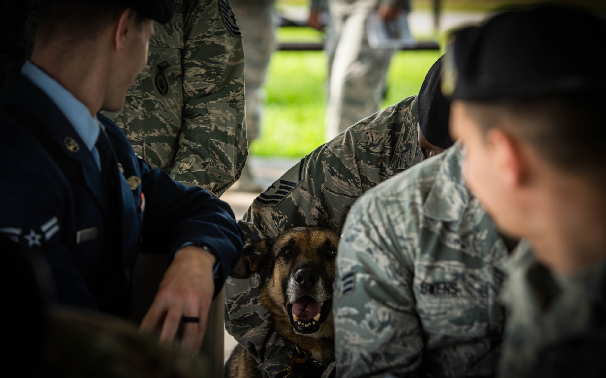 U.S. Air Force photo by Senior Airman Daniel Garcia