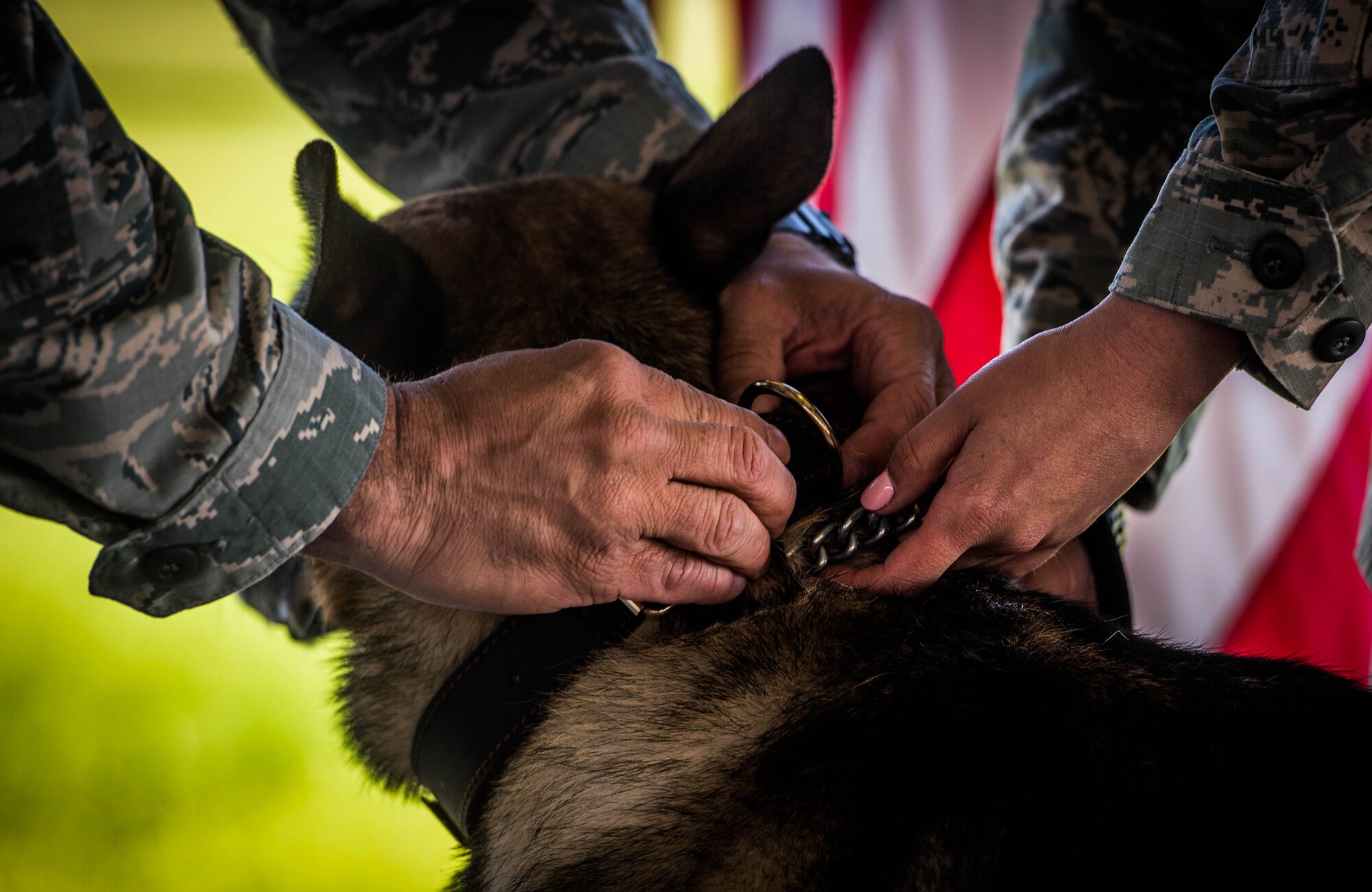 U.S. Air Force photo by Senior Airman Daniel Garcia