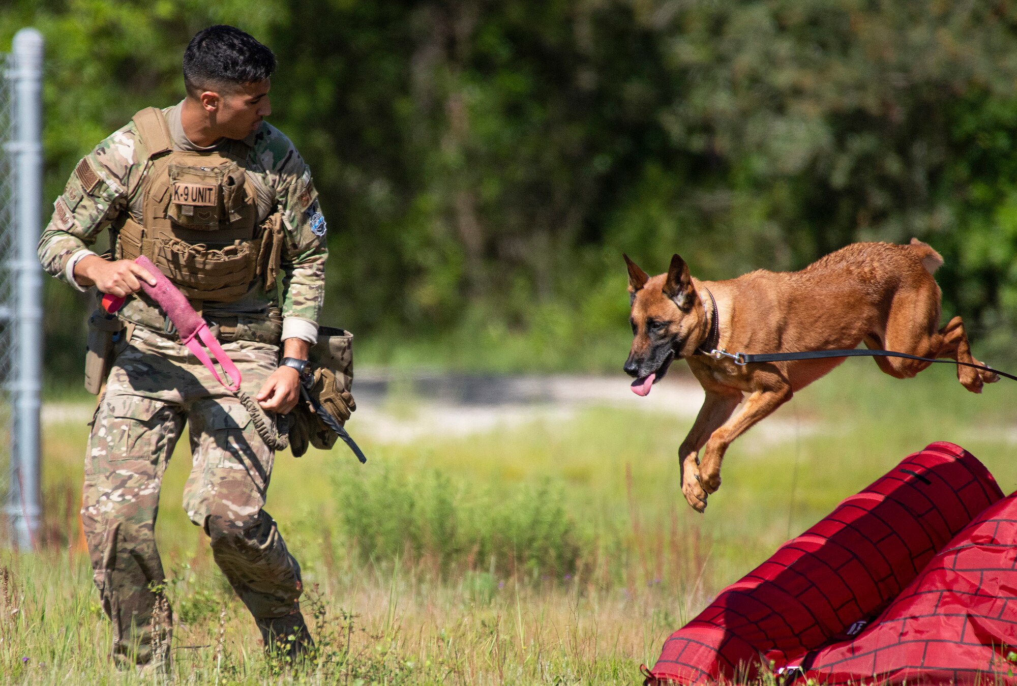 K-9 Competition