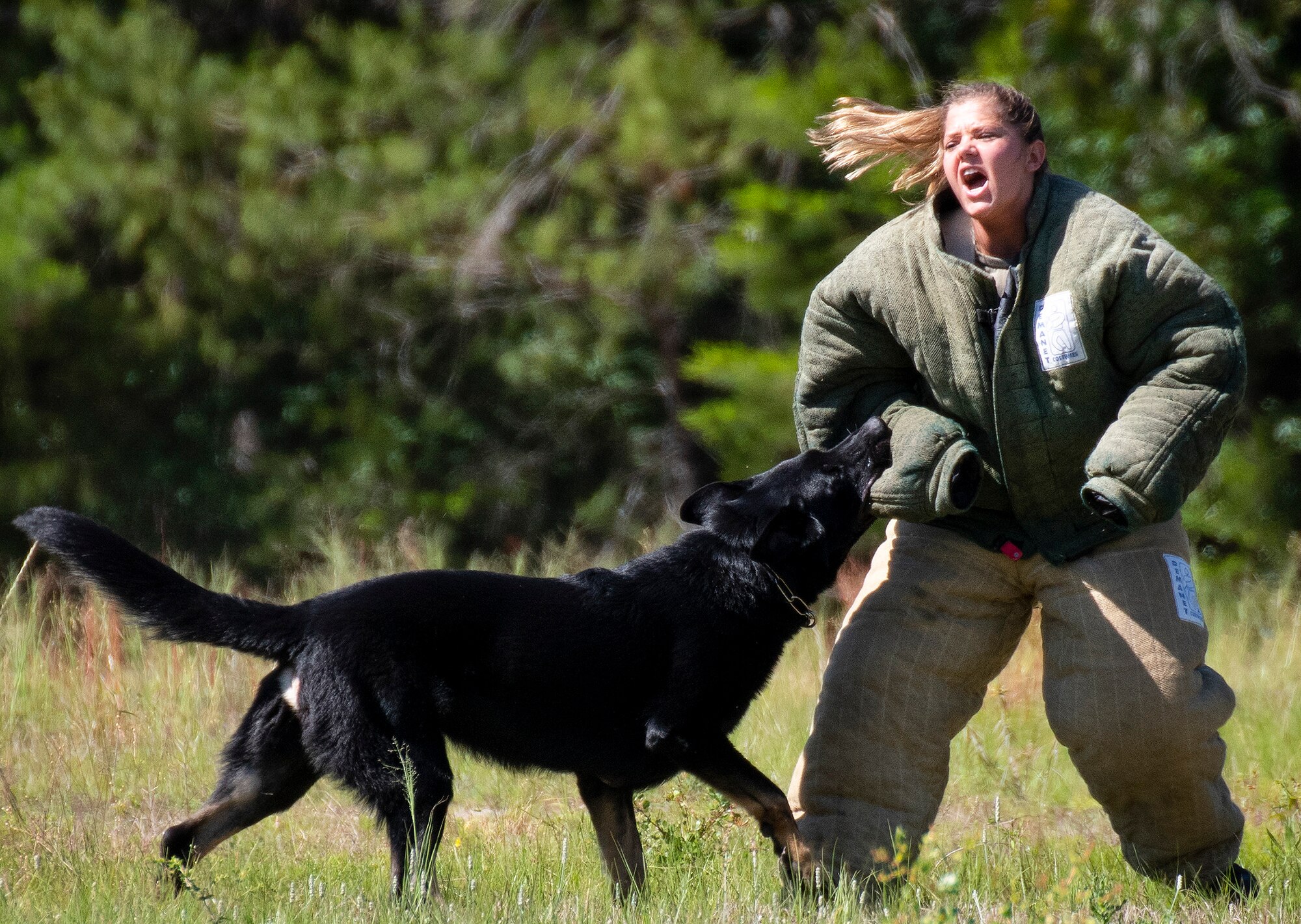 K-9 Competition