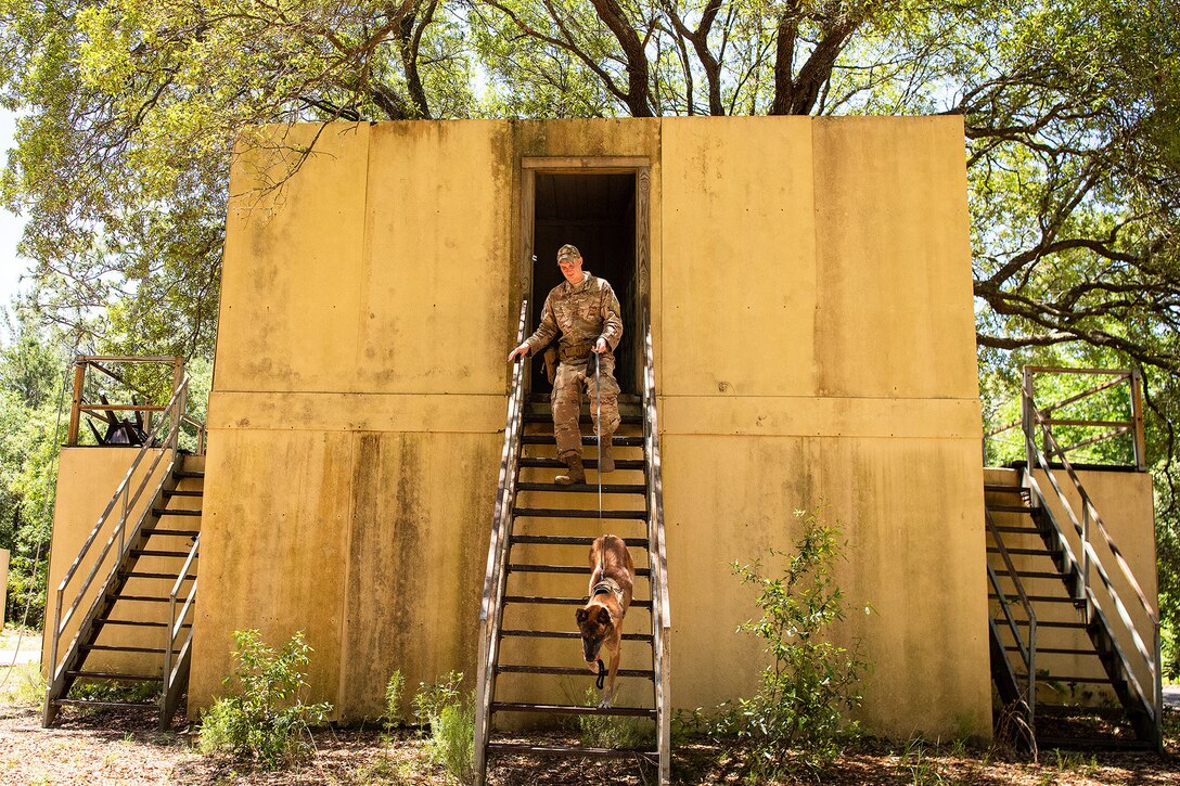 An airman walks a dog down stairs and outside of a building.