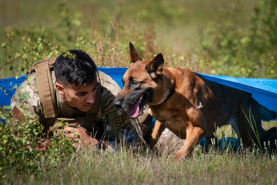 An airman crouches next to a dog in a field.