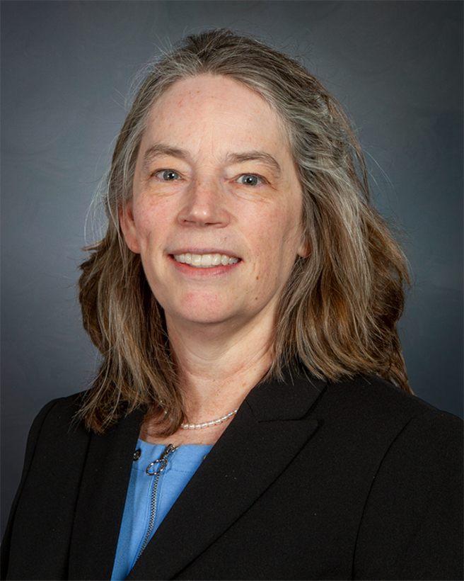 Elizabeth “Ginny” Dierich is the Deputy District Engineer, Project Management and Chief, Planning, Programs & Project Management Division, Seattle District, U.S. Army Corps of Engineers, and has held this position since March 2019.