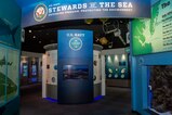 The Stewards of the Sea exhibit, which opened in 2013, highlights marine mammal research and shipboard environmental protection at Nauticus.