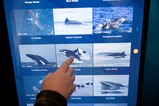 The Stewards of the Sea exhibit, which opened in 2013, highlights marine mammal research and shipboard environmental protection at Nauticus.