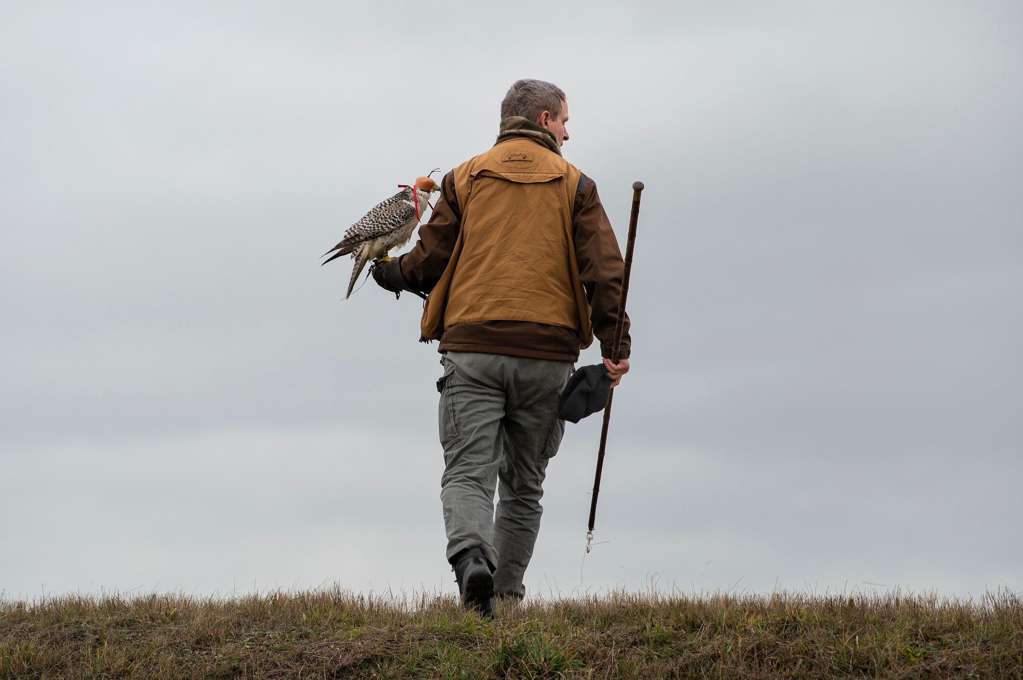 Jens Fleer, 52nd Fighter Wing base falconer, prepares to hunt with a female hawk at Spangdahlem Air Base, Germany, Jan. 16, 2019. Hawks are trained to catch pests that could potentially get caught in, and damage aircraft. (U.S. Air Force photo by Airman 1st Class Valerie Seelye)