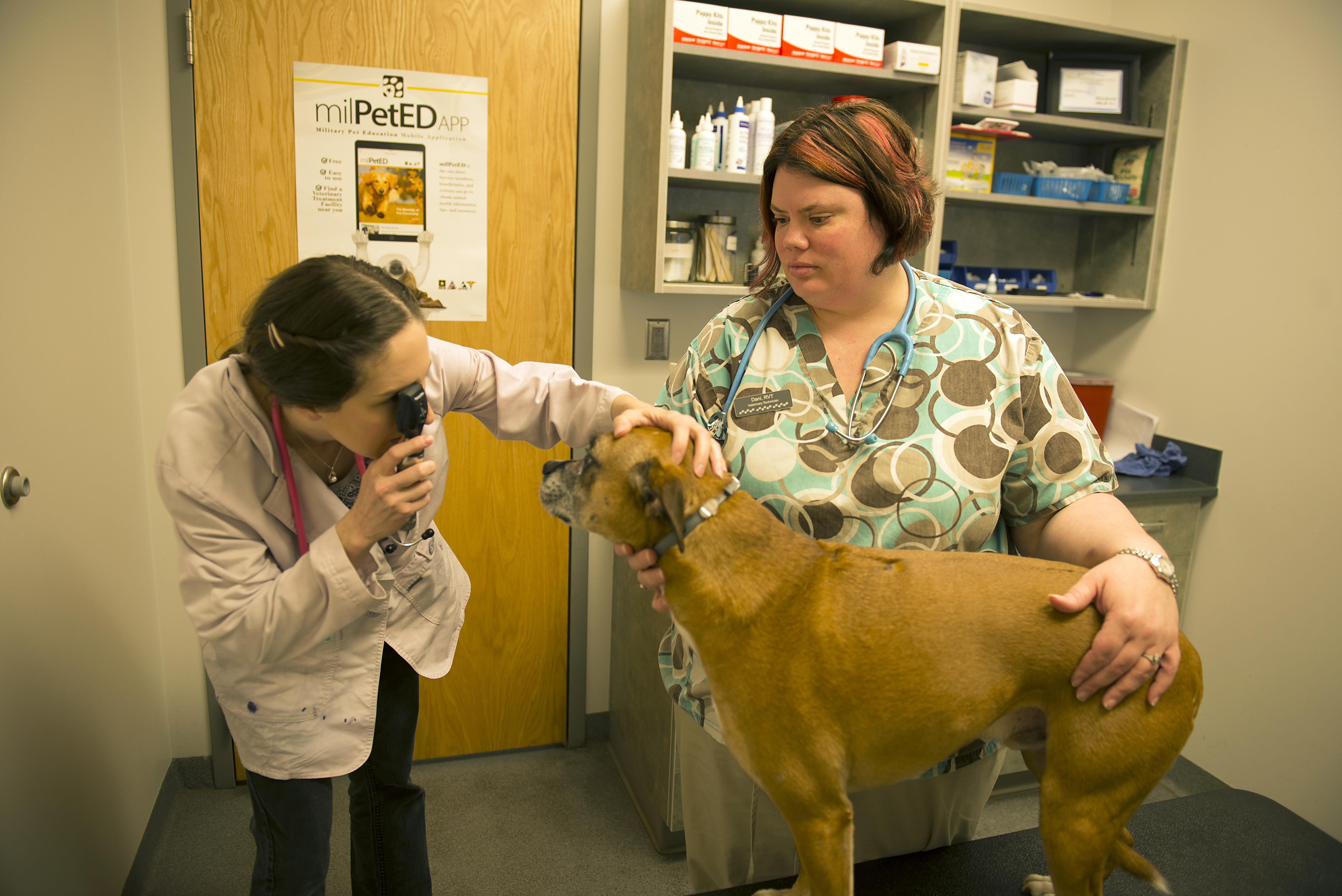 Govt dog cheap clinic near me