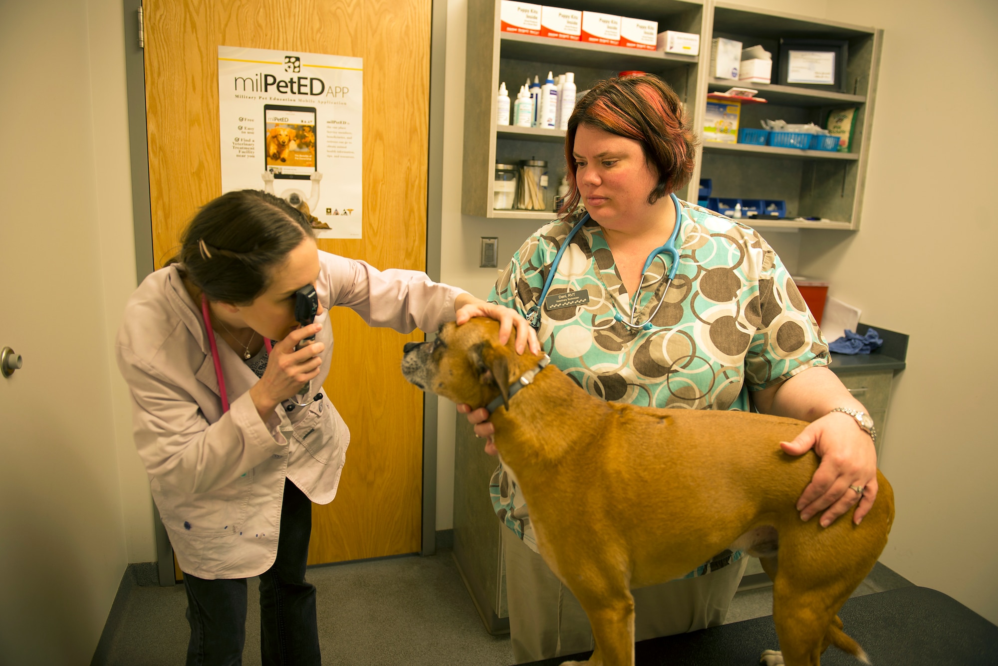 Dr. Joanna Kuecker, a veterinarian assigned to the Veterinary Clinic on Whiteman Air Force Base, Missouri, examines Goliath on April 29, 2019.