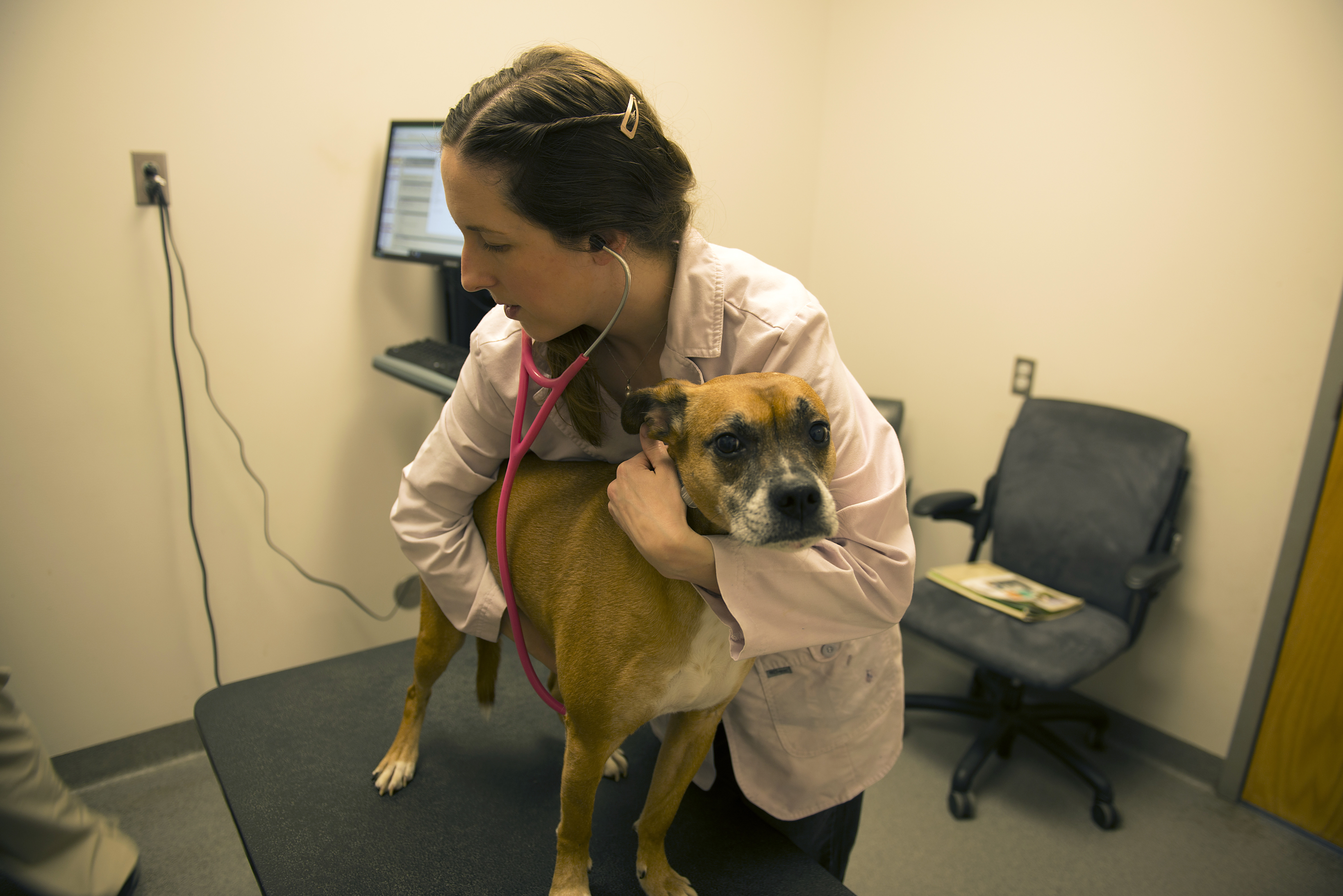 Veterinary Clinic keeps animals on Whiteman AFB moving > Whiteman Air