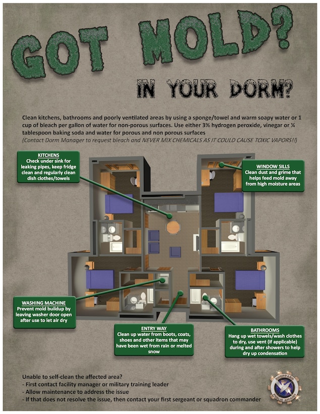 This infographic touches on preventive measures and in-home treatments for mold.