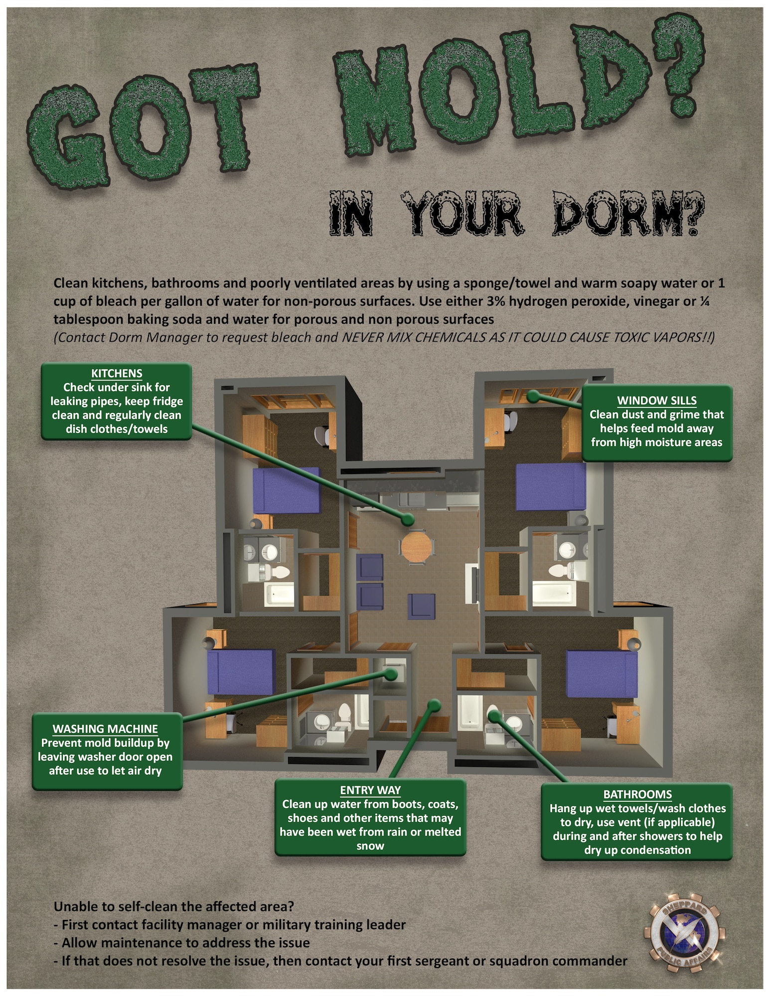This infographic touches on preventive measures and in-home treatments for mold.