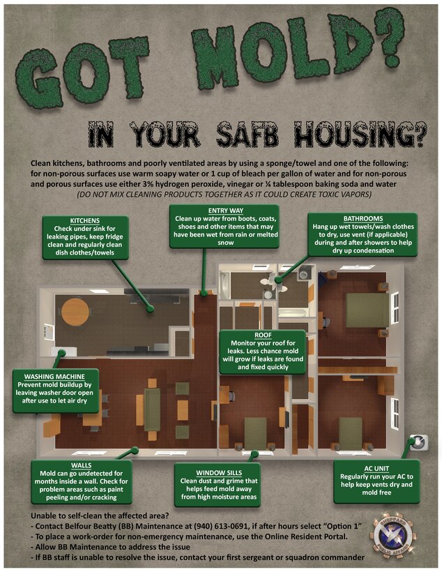 This infographic touches on preventive measures and in-home treatments for mold.