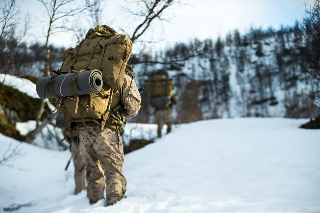 U.S. Marines with 1st Reconnaissance Battalion, 1st Marine Division, Marines with 2nd Reconnaissance Battalion, 2nd Marine Division, and the Norwegian Coastal Ranger Commando (KJK) patrol during exercise Platinum Ren in Norway, May 13, 2019.