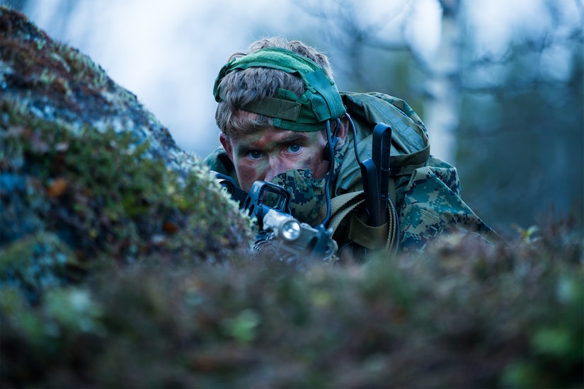 A Marine looks through a scope in the woods.
