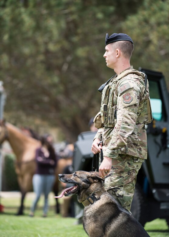 Staff. Sgt. Luke Gibson, 30th Security Forces Squadron military working dog handler, walks MWD Aramis during the Police Week Expo May 15, 2019, at Vandenberg Air Force Base, Calif. The Expo included a K-9 demonstration, which showcased the MWDs capabilities to take down a suspect. (U.S. Air Force photo by Airman 1st Class Hanah Abercrombie)