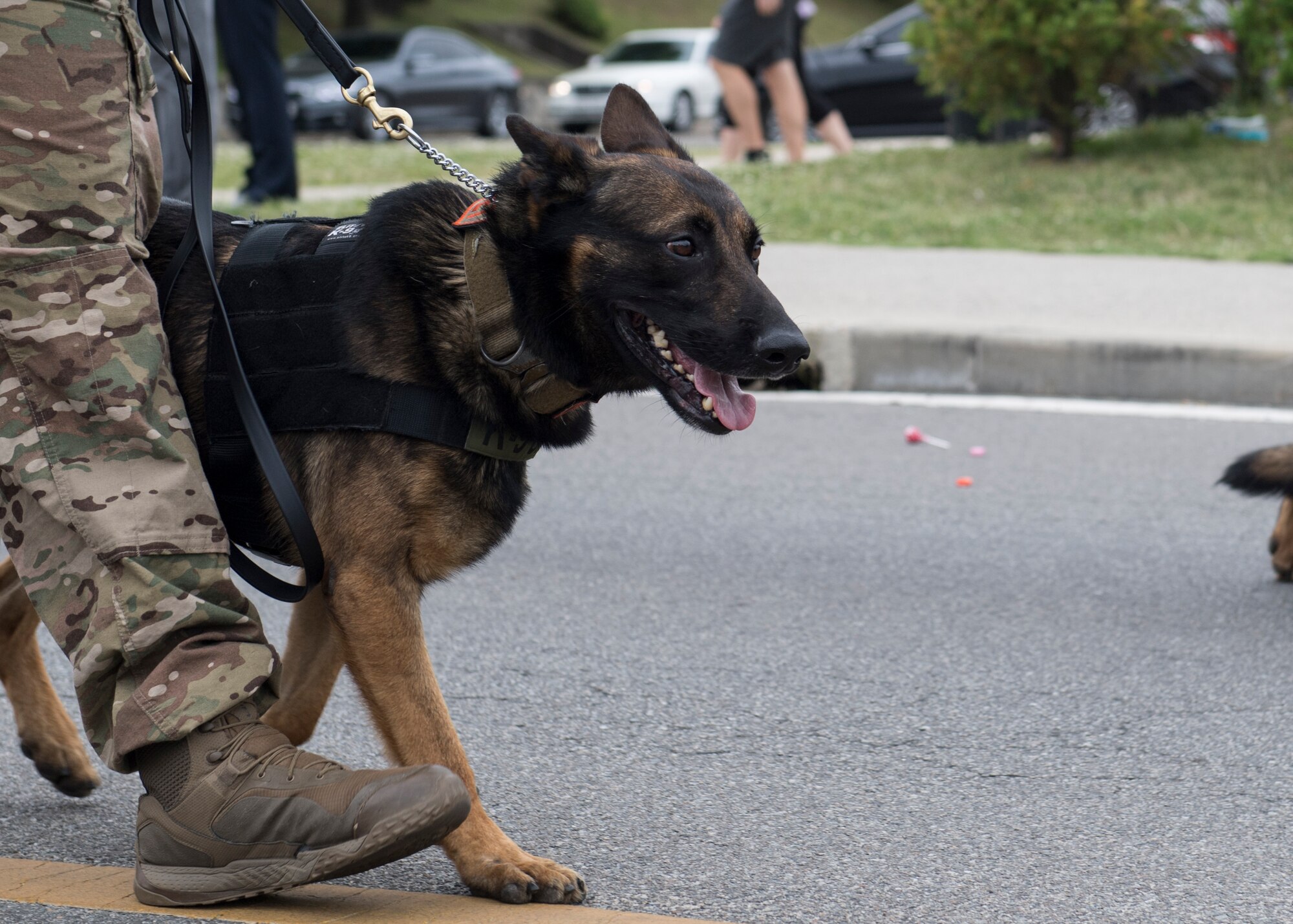 2019 Armed Forces Day Parade Osan AB