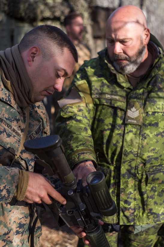 6th ANGLICO during exercise Maple Resolve 19