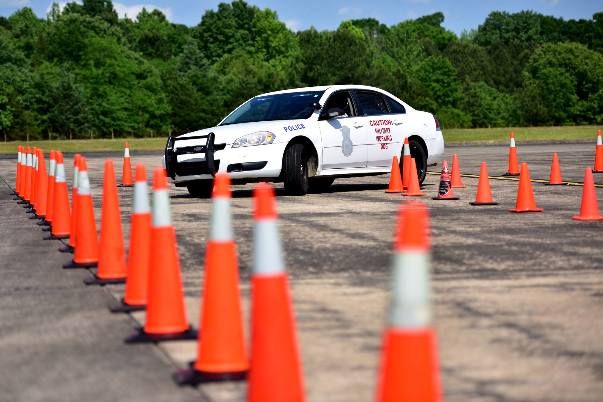 A police car drives through cones.