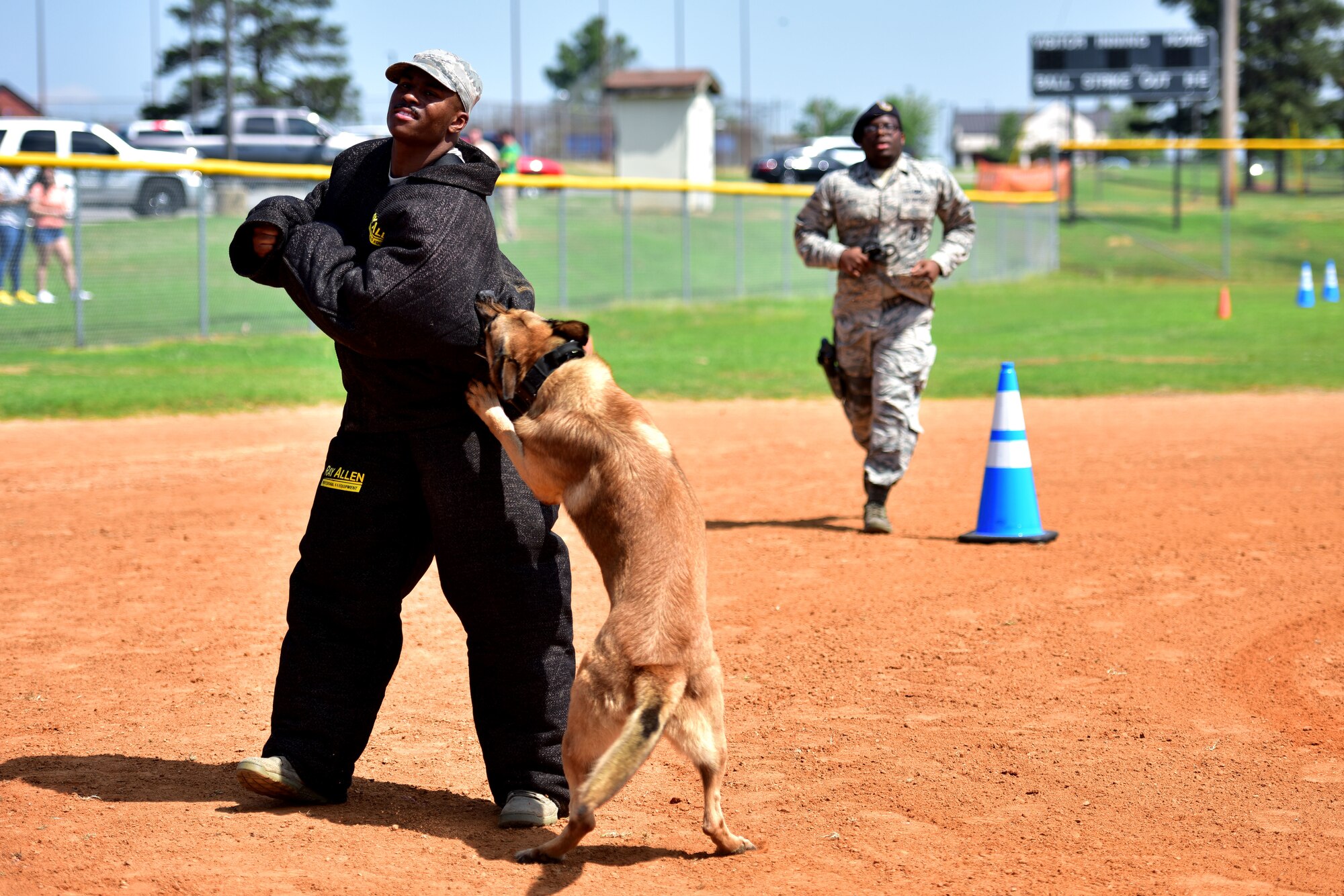 A man in a bite suit gets bit by a dog.