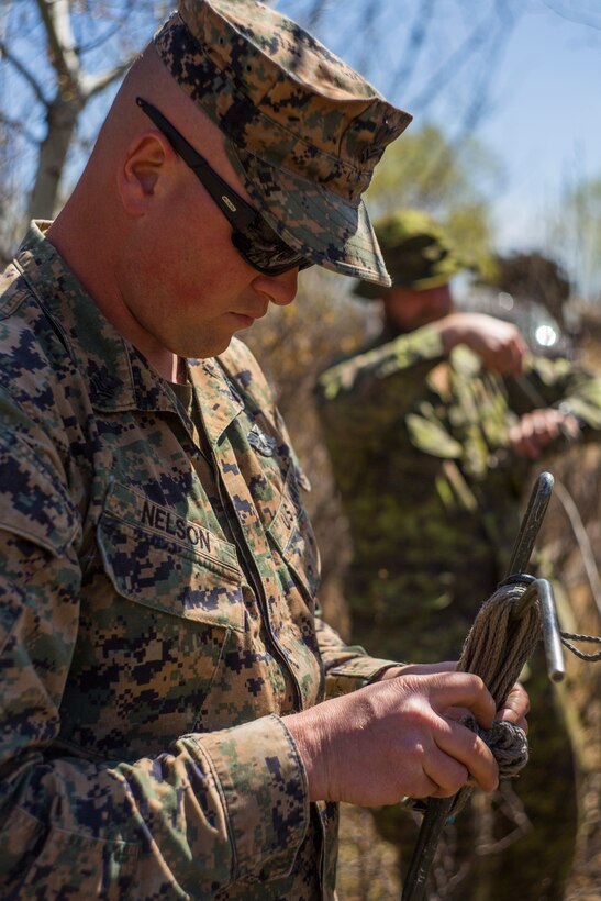 6th ANGLICO during exercise Maple Resolve 19