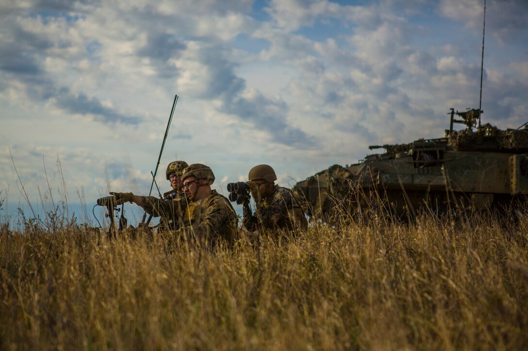 6th ANGLICO during exercise Maple Resolve 19