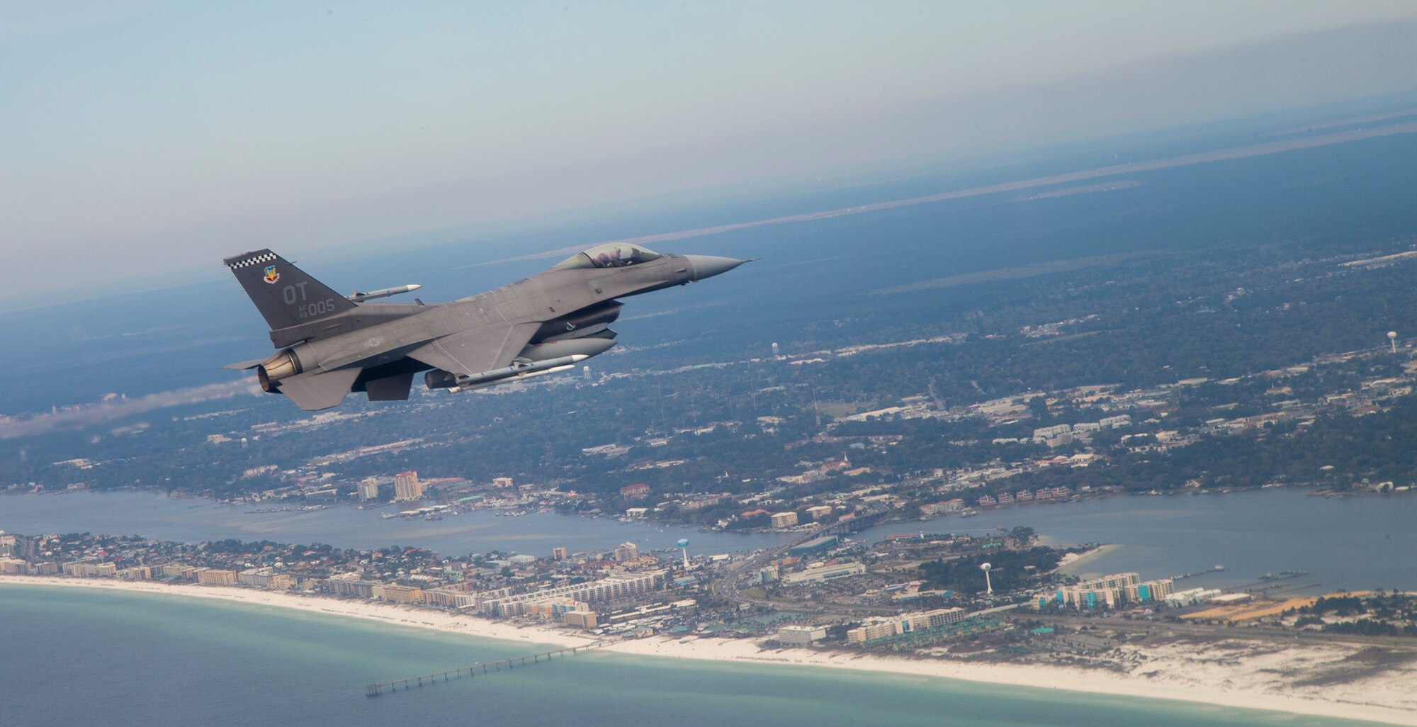 Falcon in flight