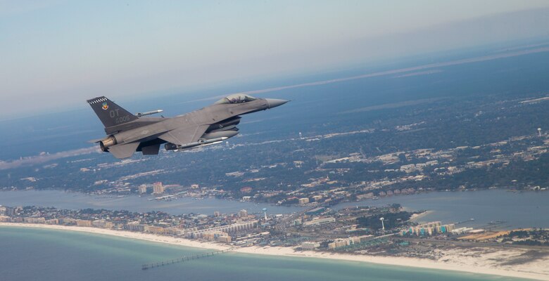 Falcon in flight