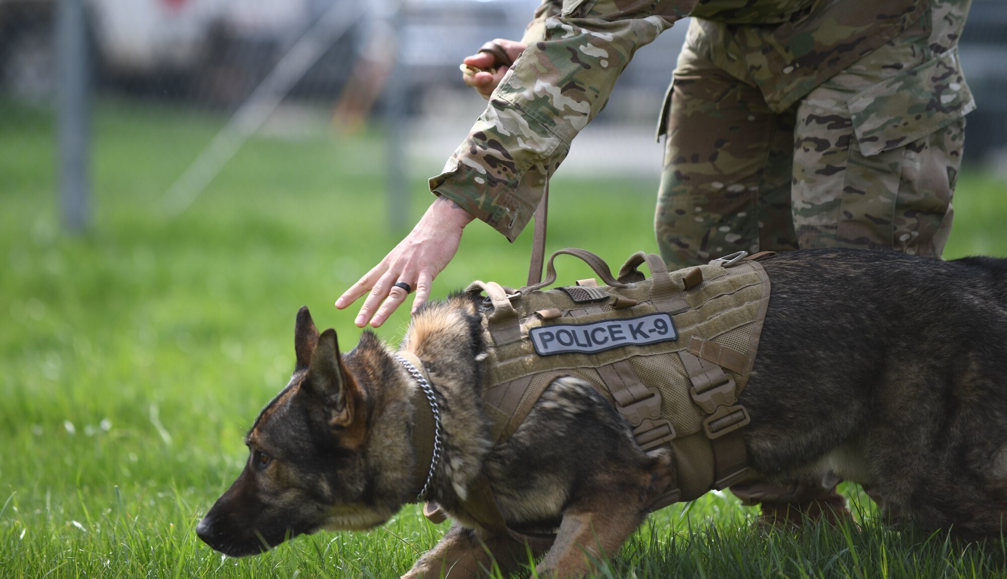 Boris, a 28th Security Forces Squadron military working dog, takes a defensive stance during a MWD demonstration in recognition of National Police Week at the 28th SFS K-9 Facility on Ellsworth Air Force Base, S.D., May 16, 2019. National Police Week is held in honor of the many law enforcement officers who have died while serving in communities nationwide. (U.S. Air Force photo by Airman 1st Class Christina Bennett)