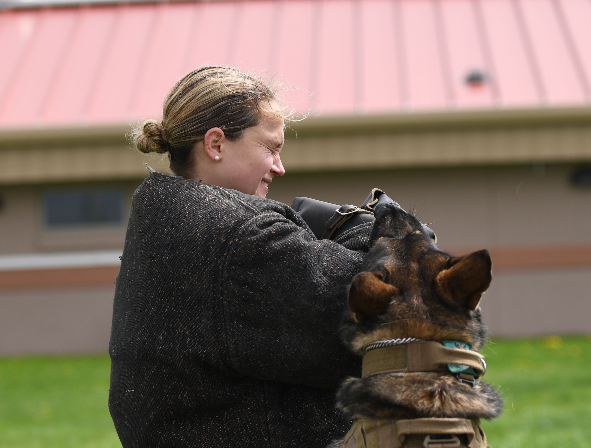 1st Lt. Anna Sturges, the 28th Bomb Wing deputy chief of military justice, cringes as Boris, a 28th Security Forces Squadron military working dog, bites into her arm during a demonstration at the 28th SFS K-9 facility on Ellsworth Air Force Base, S.D., May 16, 2019. Sturges wore a bite suit meant to protect MWD handlers from the force of dog bites during training maneuvers. (U.S. Air Force photo by Airman 1st Class Christina Bennett)