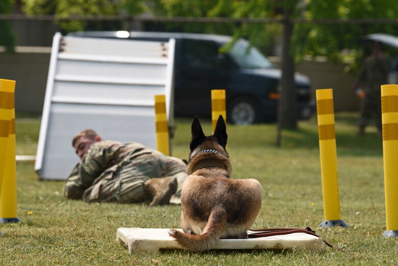 National Police Week honors those who serve and have served in law enforcement, as well as memorializes those who’ve made the ultimate sacrifice. (U.S. Air Force photo by Senior Airman Savannah L. Waters)