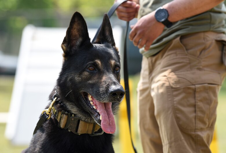 National Police Week honors those who serve and have served in law enforcement, as well as memorializes those who’ve made the ultimate sacrifice. (U.S. Air Force photo by Senior Airman Savannah L. Waters)