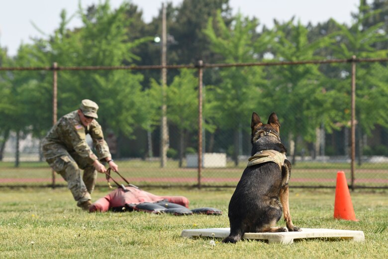 National Police Week honors those who serve and have served in law enforcement, as well as memorializes those who’ve made the ultimate sacrifice. (U.S. Air Force photo by Senior Airman Savannah L. Waters)