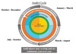 the audit cycle