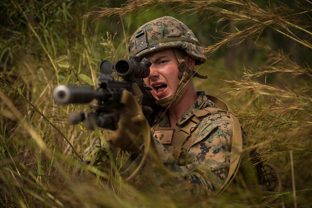 A Marine in the brush aims a rifle while relaying information.