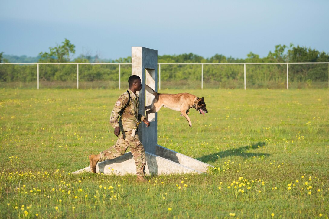 A dog jumps through an obstacle while an airman tries to keep up.