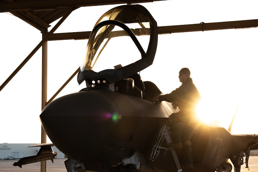 Pilot looks into plane cockpit.