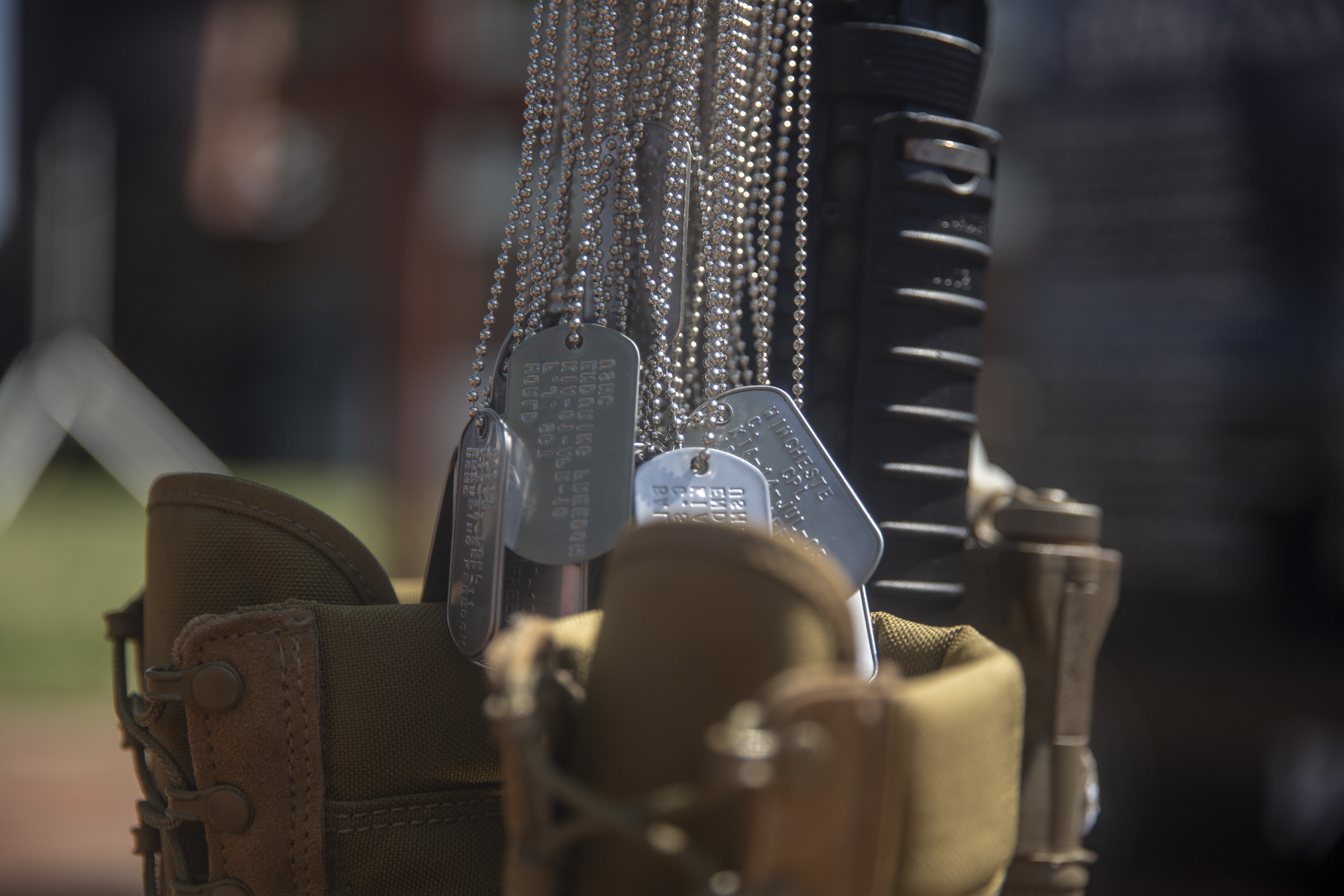 Dog Tag Display