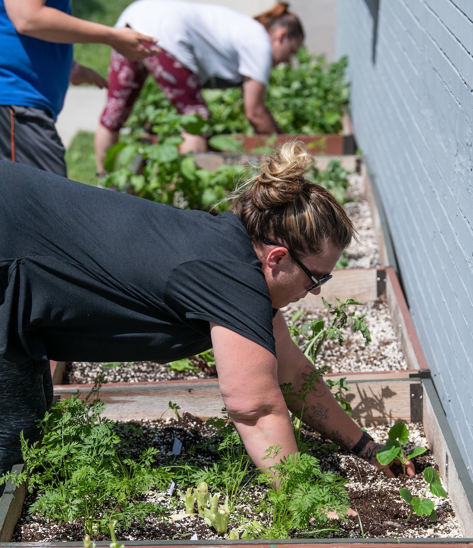 The Patriot Guardens program is working with Recovery Point WV to provide agricultural education and opportunities for West Virginians with substance abuse disorders on their path to recovery and new lives.