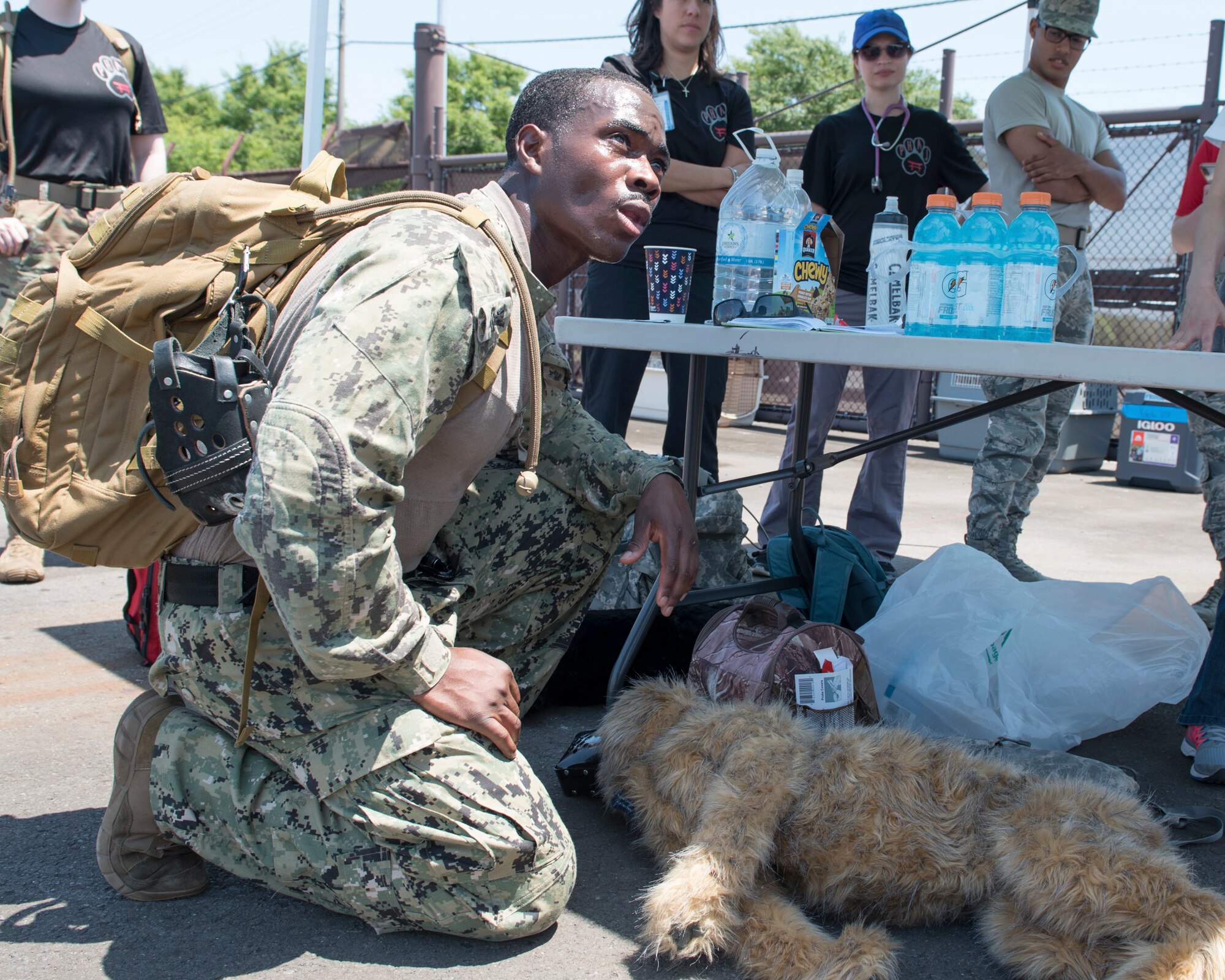 Master-at-Arms 2nd Class Howard Norris, Commander Fleet Activities Yokosuka Security Department military working dog handler, performs first-aid on a simulated military working dog during Yokota's 2019 National Police Week Iron Dog competition, May 24, 2019, at Yokota Air Base, Japan.