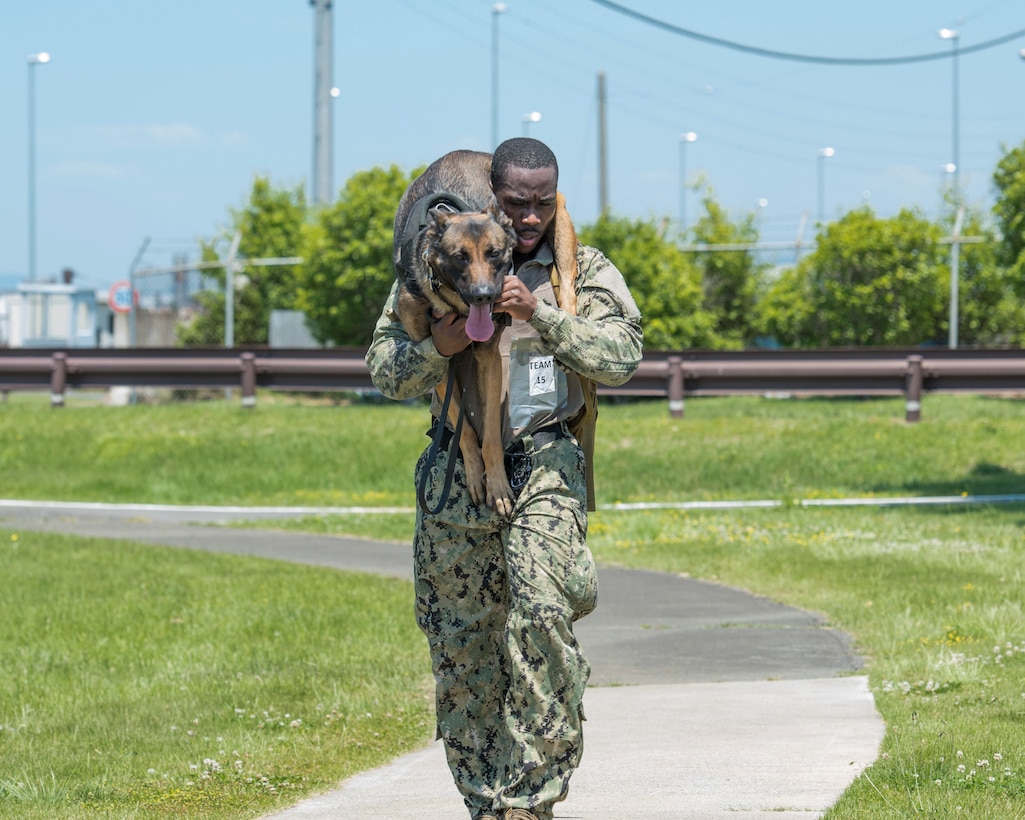 Master-at-Arms 2nd Class Howard Norris, Commander Fleet Activities Yokosuka Security Department military working dog handler, carries his military working dog, Ttibor, during Yokota's 2019 National Police Week Iron Dog competition, May 24, 2019, at Yokota Air Base, Japan
