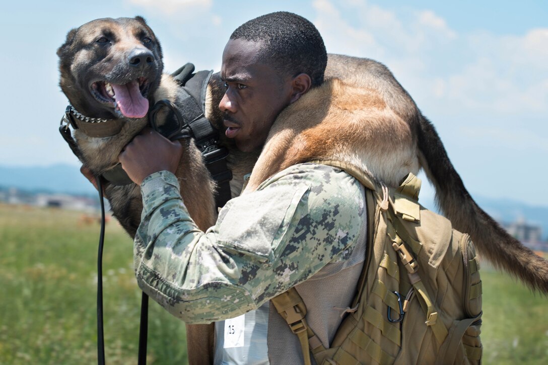 Master-at-Arms 2nd Class Howard Norris, Commander Fleet Activities Yokosuka Security Department military working dog handler, carries his military working dog, Ttibor, during the Yokota's 2019 National Police Week Iron Dog competition, May 24, 2019, at Yokota Air Base, Japan.
