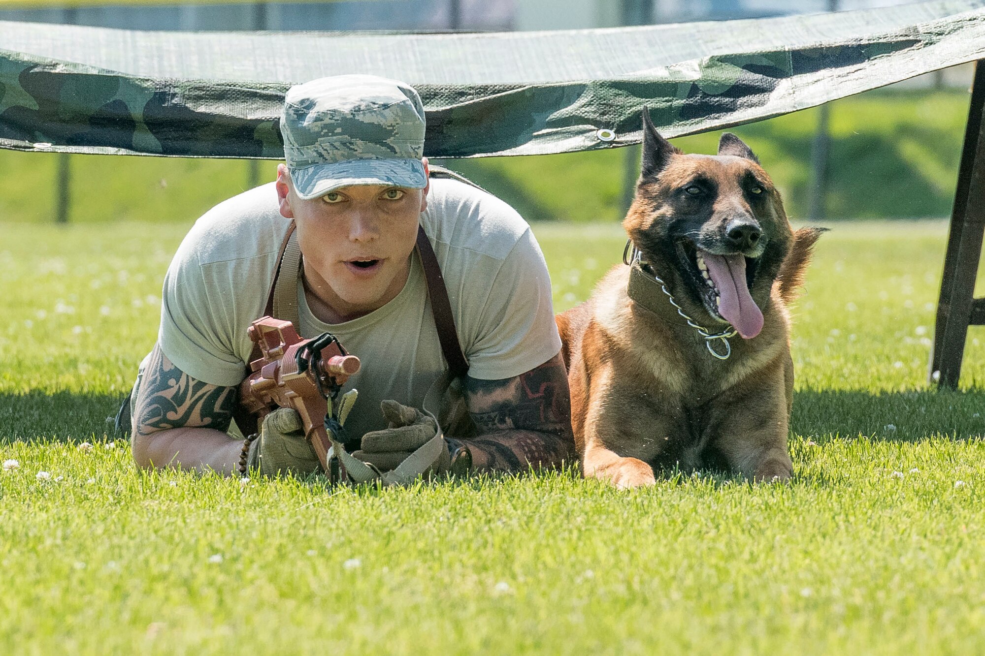 Staff Sgt. Jonker Graham, 51st Security Forces Squadron military working dog handler and his MWD, Hagin, crawl during Yokota's 2019 National Police Week Top Dog competition, May 24, 2019, at Yokota Air Base, Japan.