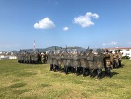 The U.S. Marines of Battery E, Battalion Landing Team, 1st Battalion, 4th Marines, 31st Marine Expeditionary Unit (MEU), conduct Non-Lethal Weapons rehearsals prior to executing Embassy Reinforcement during MEU Exercise 19.1. Their focus was on improving techniques to conduct riot control and prevent unlawful entry into the embassy.