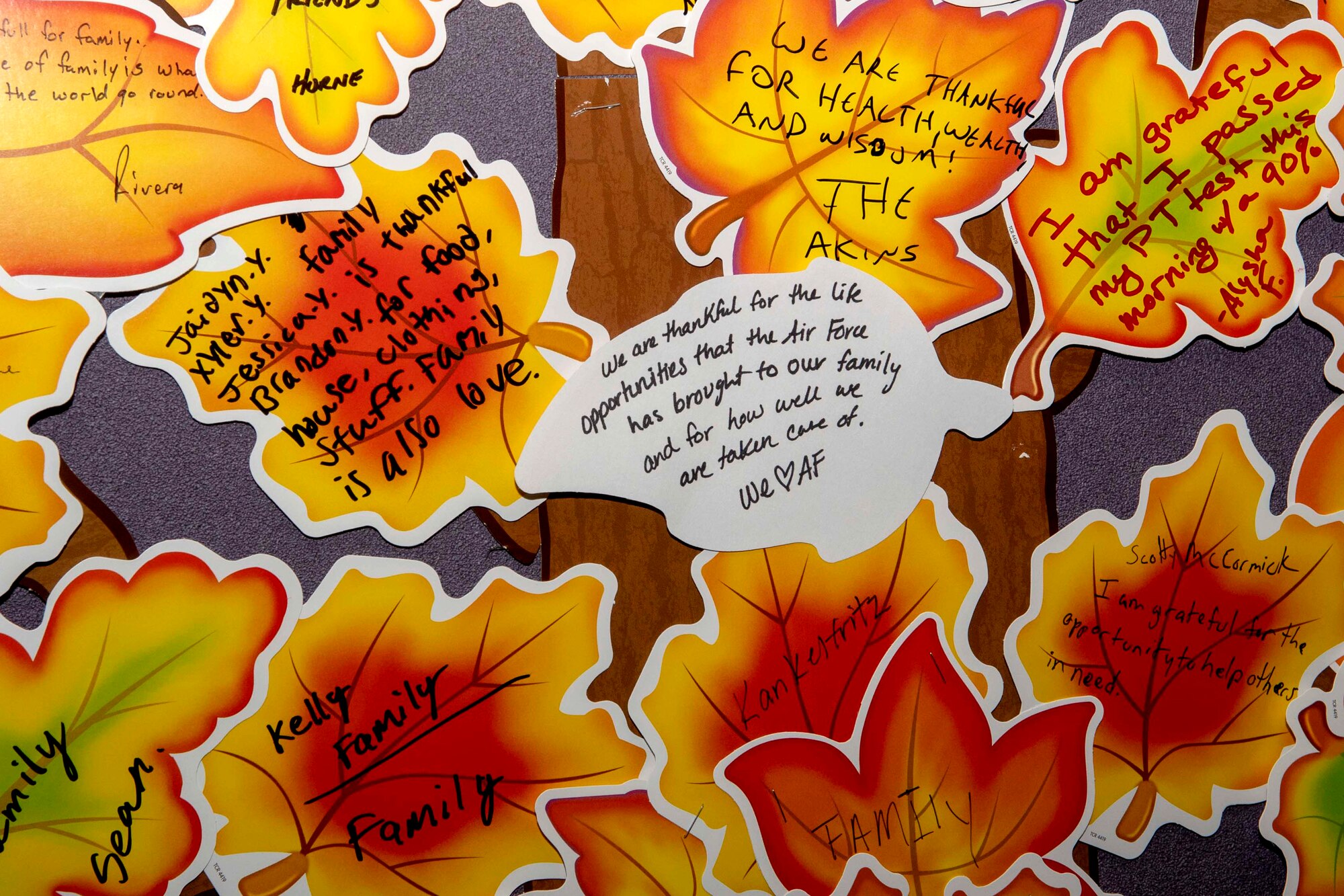 Gratitude Tree