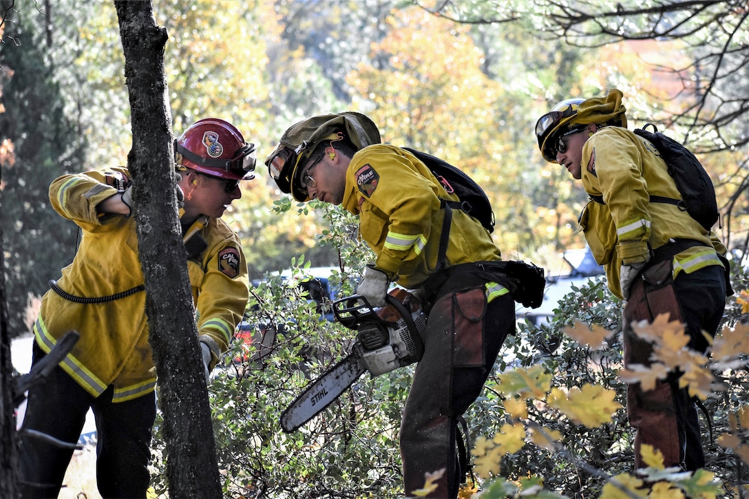 A firefighter gestures at a tree as two guardsmen study it.