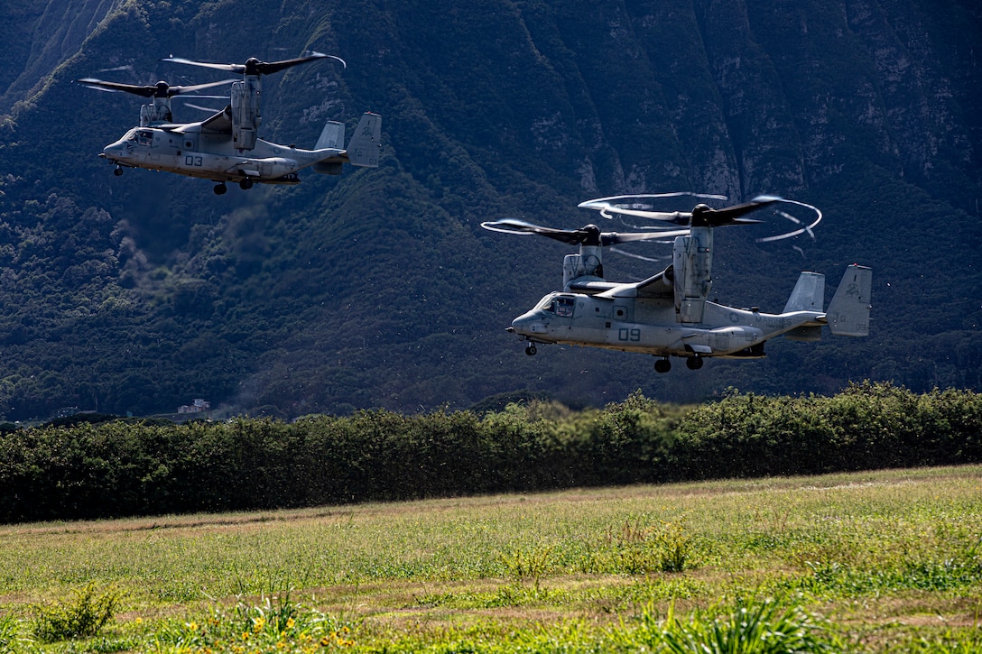 U.S. Marine Corps MV-22B Ospreys assigned to Medium Tiltrotor Squadron 268 land at Marine Corps Training Area Bellows in support ofcherry picker drills conducted by Combat Assault Company, 3rd Marine Regiment, Oct. 31, 2019. The training consisted of patrols, cherry picker drills, and Military Operation in Urban Terrain Training.