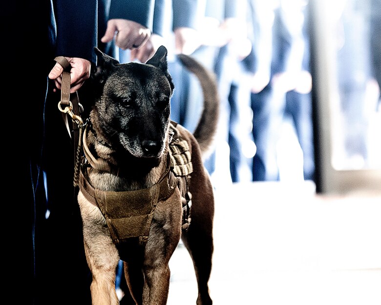 JB MDL members honor military working dogs at memorial service > Joint ...