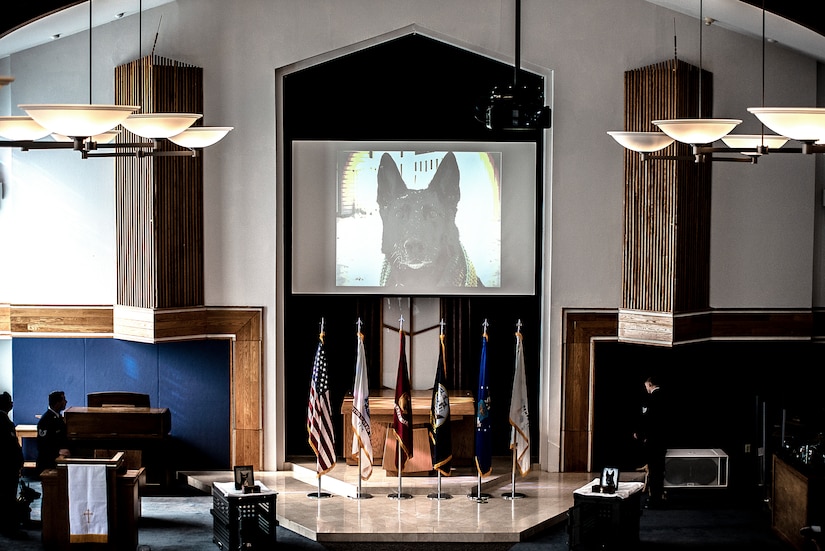 A video plays to honor Robby and Bagira, 87th Security Forces military working dogs, during a memorial ceremony at the McGuire Chapel on Joint Base McGuire-Dix-Lakehurst, New Jersey, Nov. 1, 2019. As a patrol explosive detector dog, Robby totaled over 50,000 hours of detection time while serving at home and abroad in Saudi Arabia, Kyrgyzstan and Kuwait. Bagira was also a patrol explosive dog, totaling more than 38,000 hours of detection time serving at home and abroad in Afghanistan and Saudi Arabia.